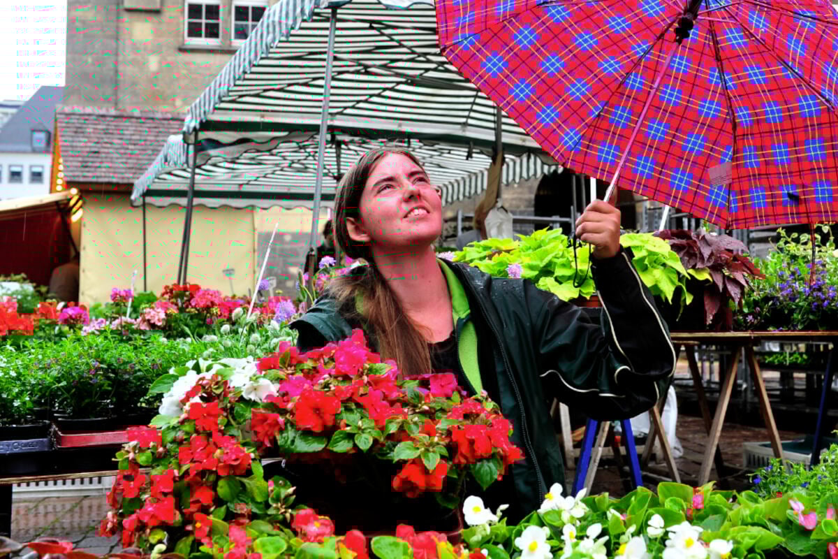 Chemnitz Alarm Musik Event Mdr Musiksommer Alle Sperrungs News Und Insider Tipps - q11cl5y