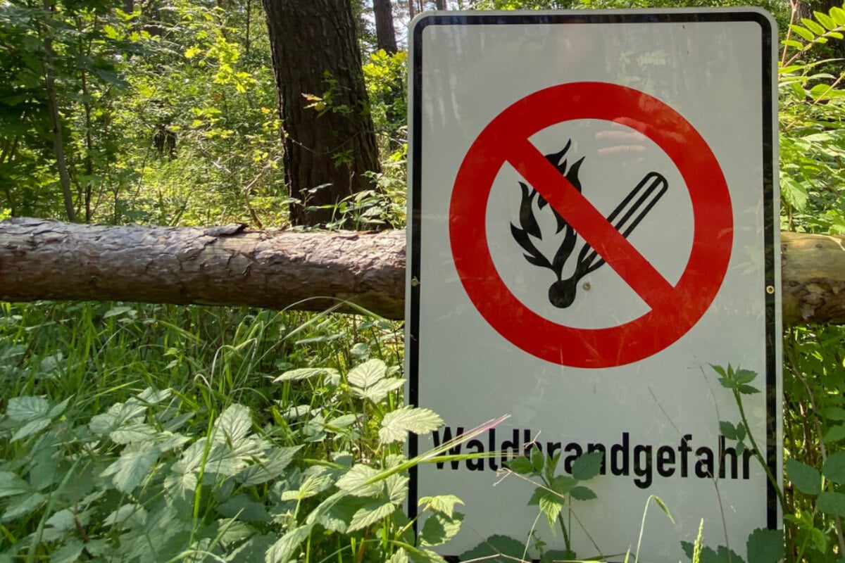 Rauchen und Grillen verboten - In Teilen Sachsen-Anhalts herrscht große Waldbrandgefahr!