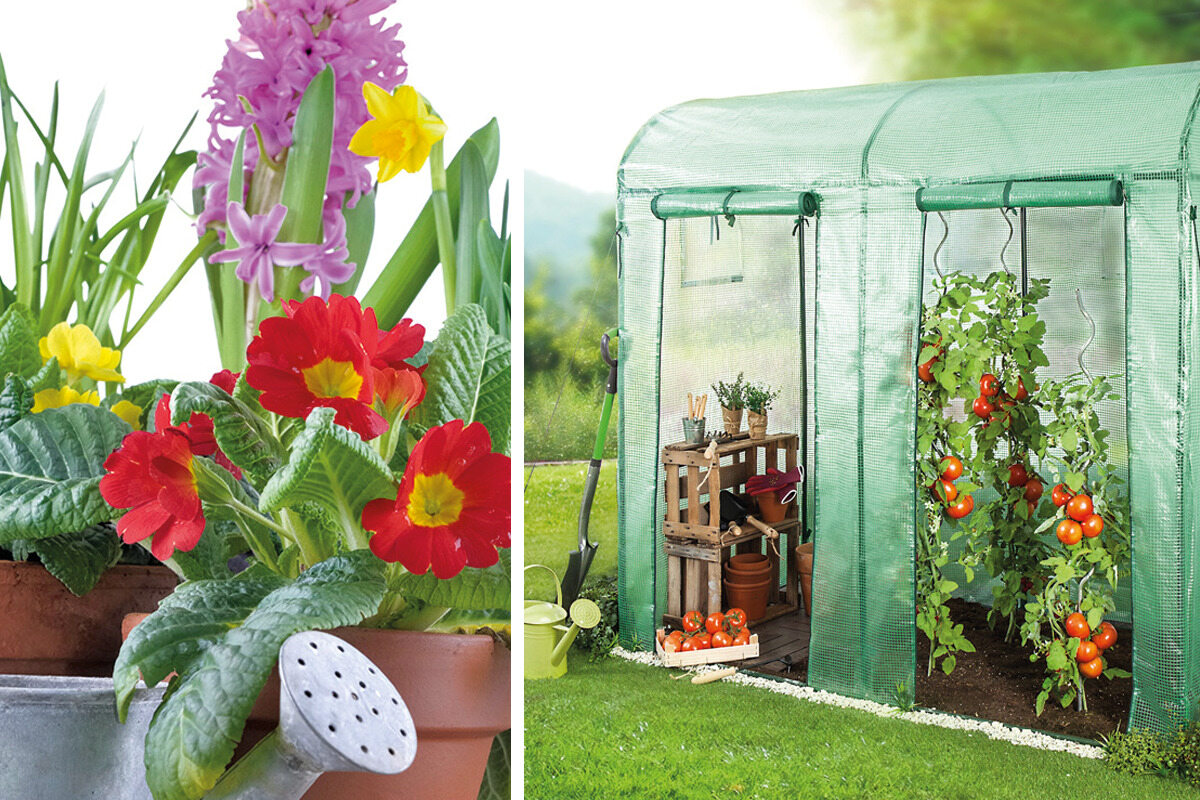 Bei Norma bekommt Ihr gerade alles für den Garten super günstig