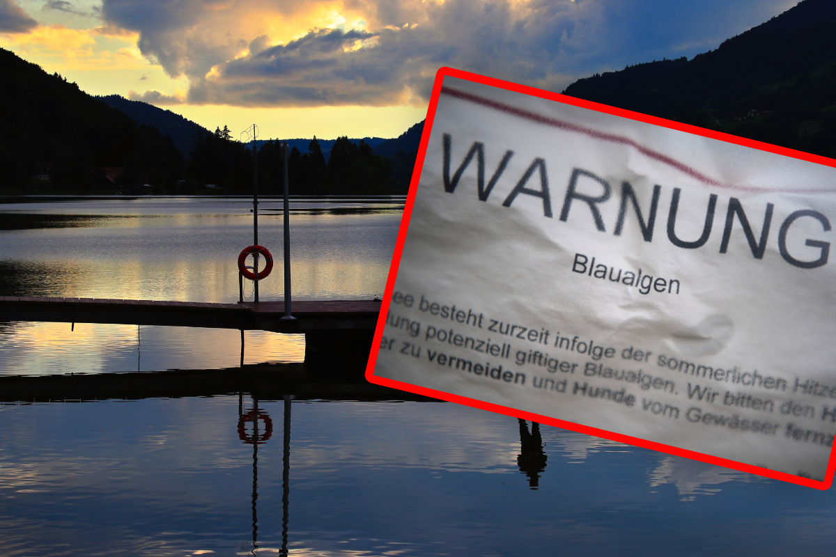 Baden verboten: Giftige Blaualgen im Großen Alpsee