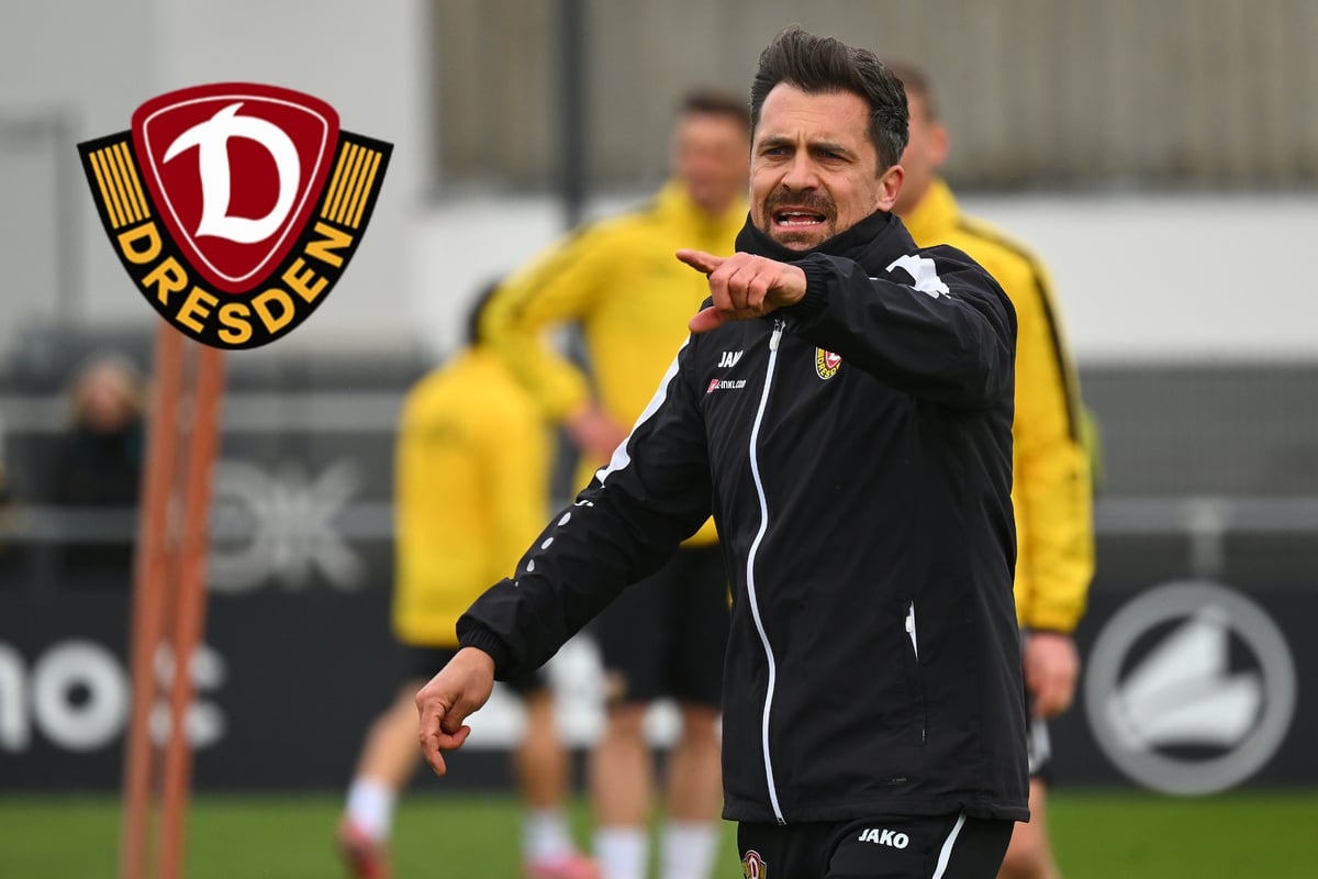 Dynamo-Chefcoach Stamm weiß: Darauf kommt es gegen Lautern an