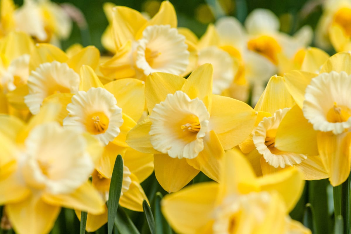 Horoskop heute: Tageshoroskop kostenlos für den 16.4.2026