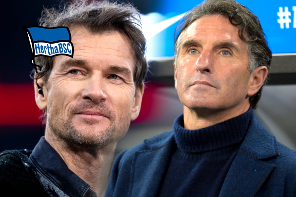 Zoff Zwischen Hertha Trainer Labbadia Und Aufsichtsrat Jens Lehmann Tag24