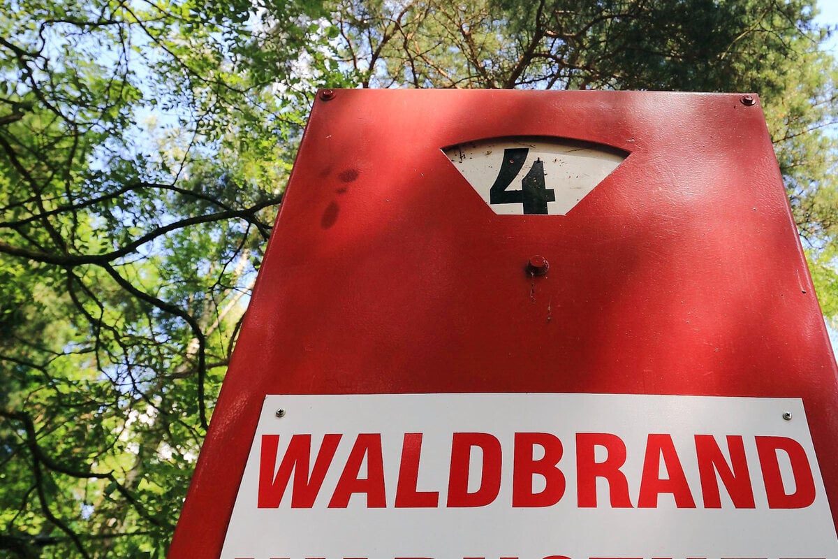 Brandgefahr in Sachsens Wäldern steigt! Hier ist die Bedrohung besonders hoch