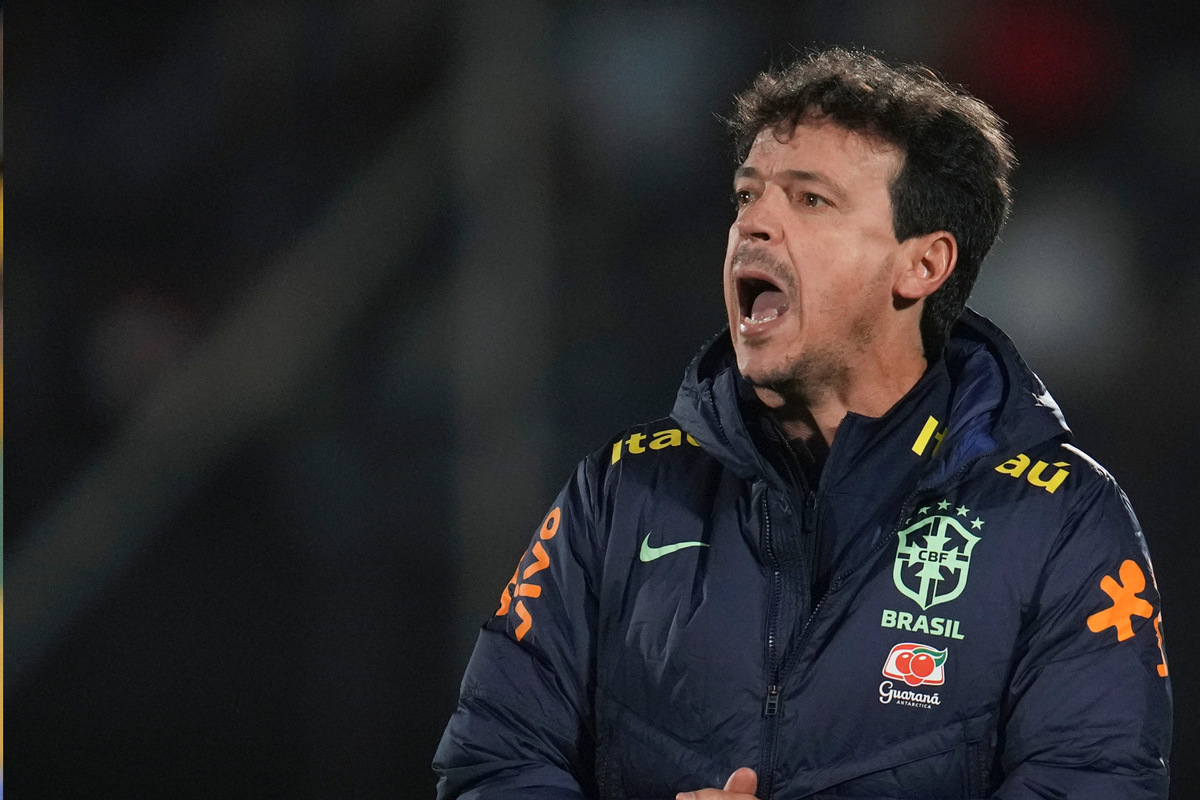 Brasiliens Fußball versinkt im Chaos Nationalcoach Fernando Diniz