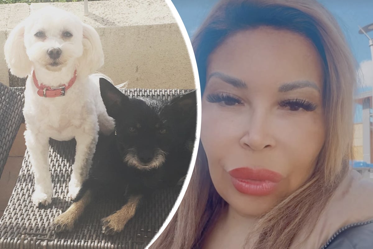 Schlimme Diagnose: Patricia Blanco bangt um Malteser-Hündin Sissi