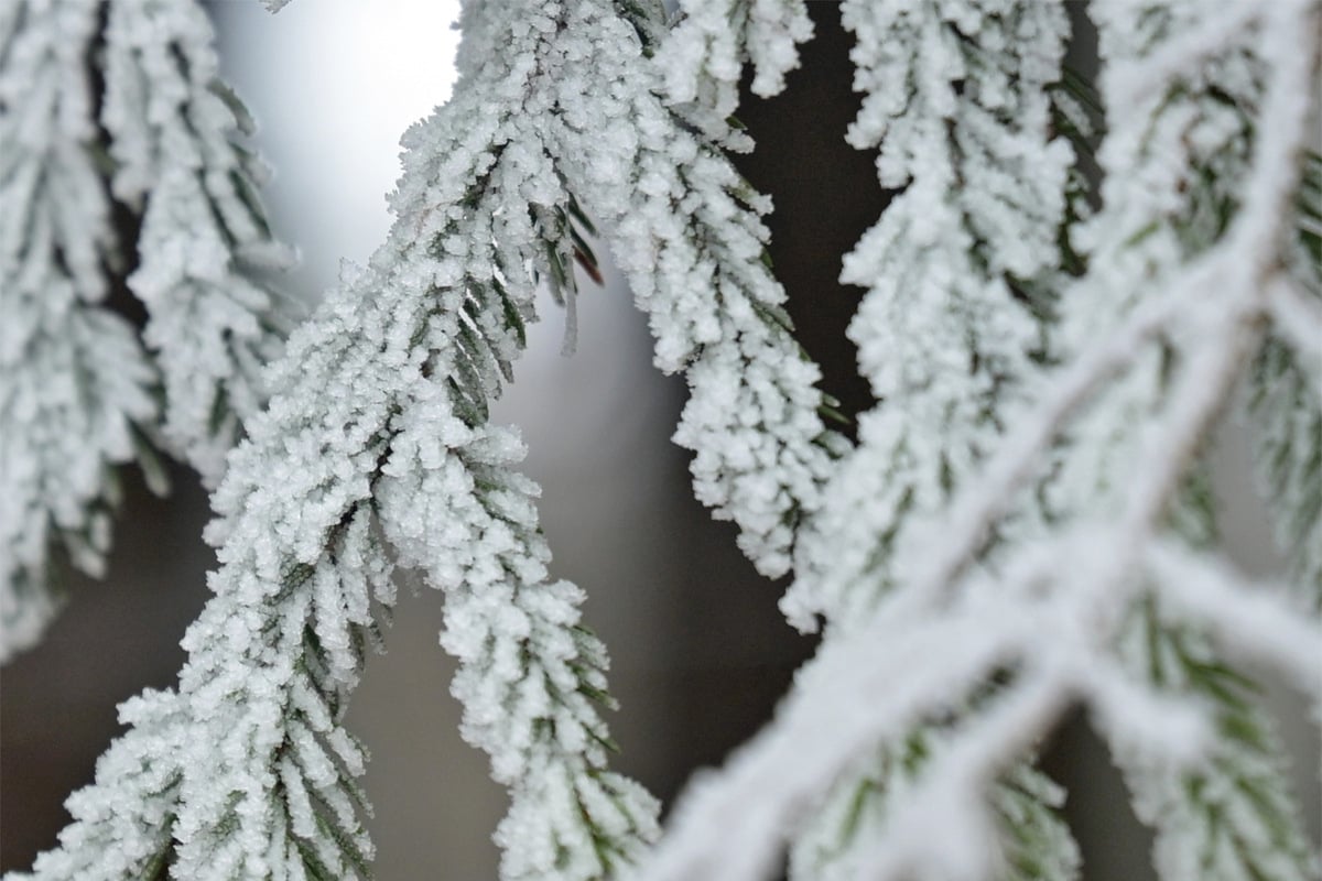 Dauerfrost-zu-Weihnachten-So-wird-das-Wetter-in-Th-ringen