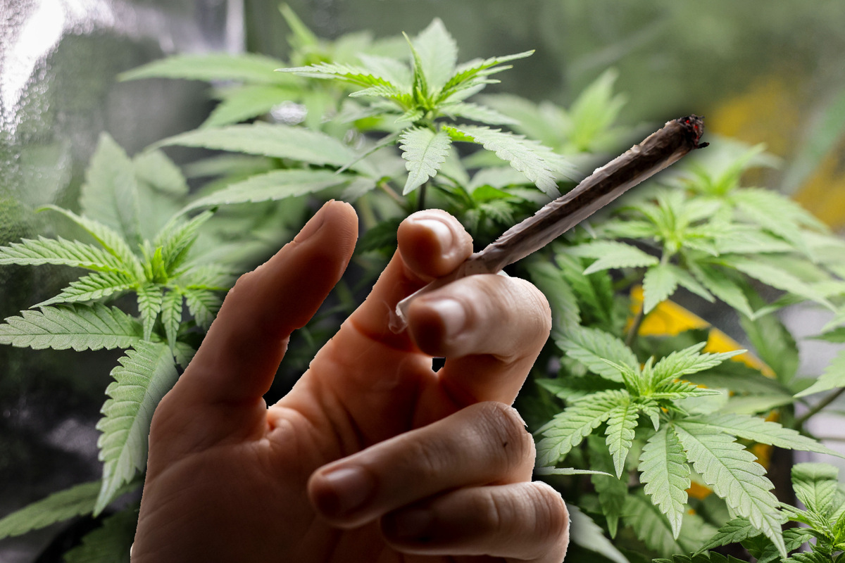 Geplante Cannabis-Legalisierung stellt Hamburger Justiz vor "erhebliche Probleme"