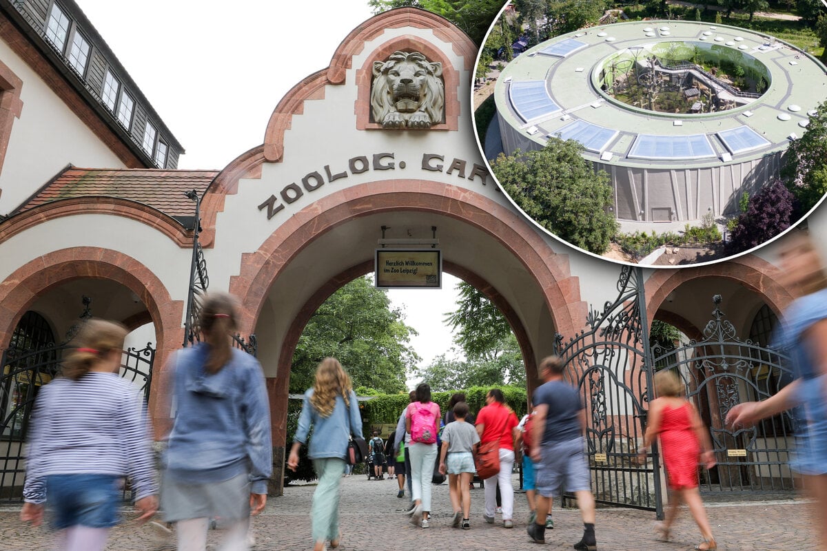Leipziger-Zoo-Besuch-k-nftig-teurer-Ziehen-s-chsische-Mitstreiter-nun-nach-