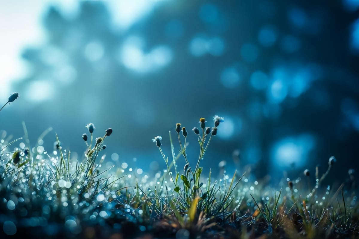 Horoskop-morgen-Tageshoroskop-kostenlos-f-r-den-31-1-2026