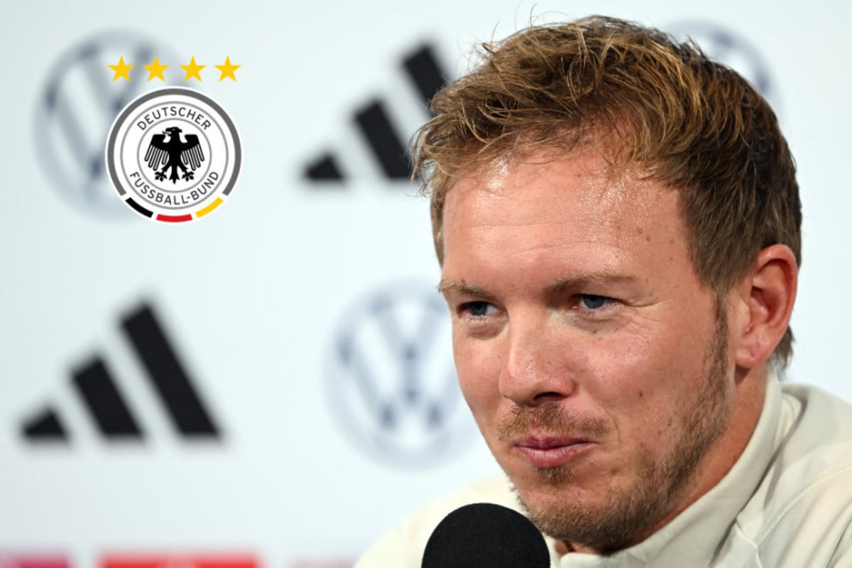 Nationalmannschaft: Julian Nagelsmann Nominiert Mit Jannis Blaswich Und ...