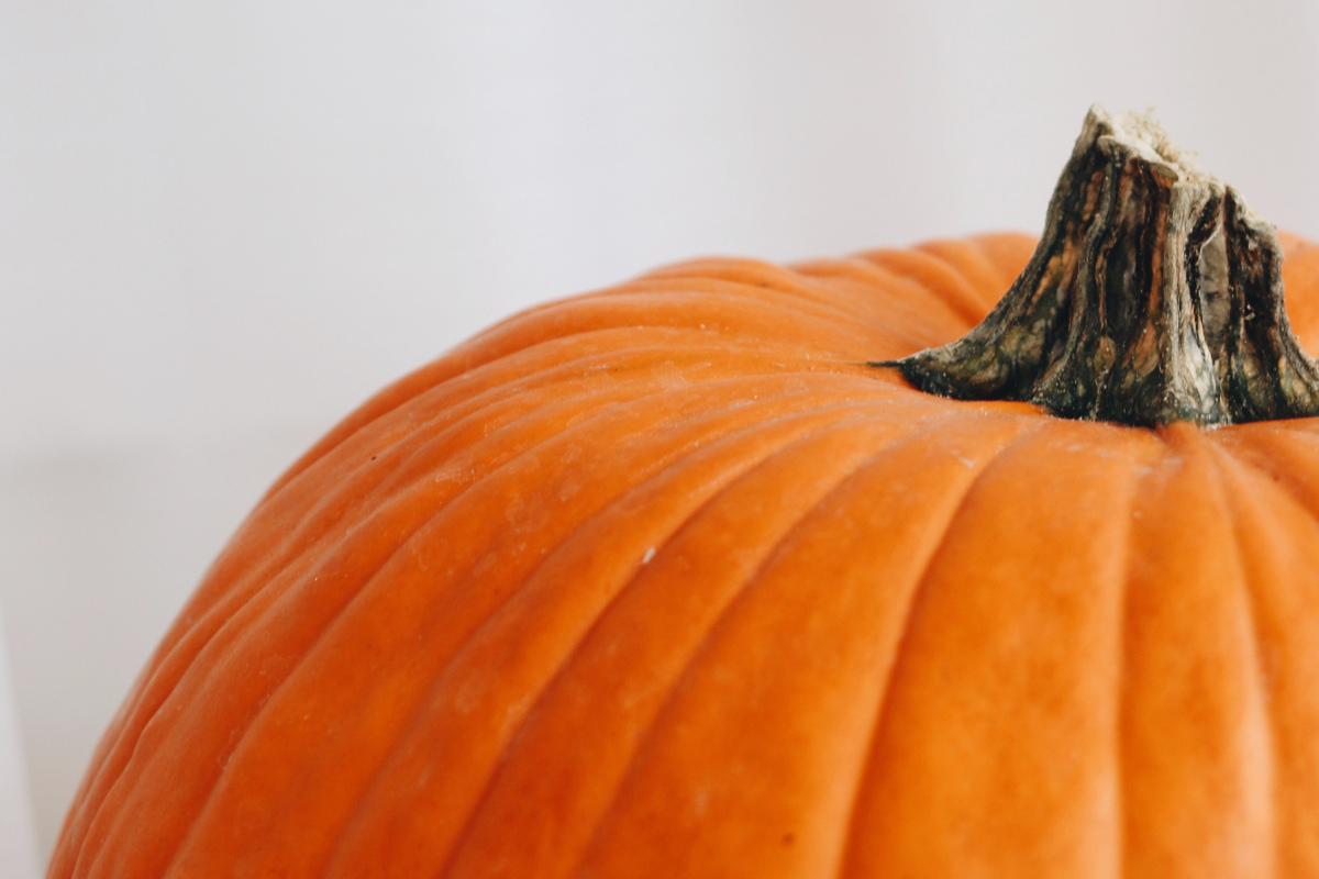 How To Make A Pumpkin Puke With Yeast