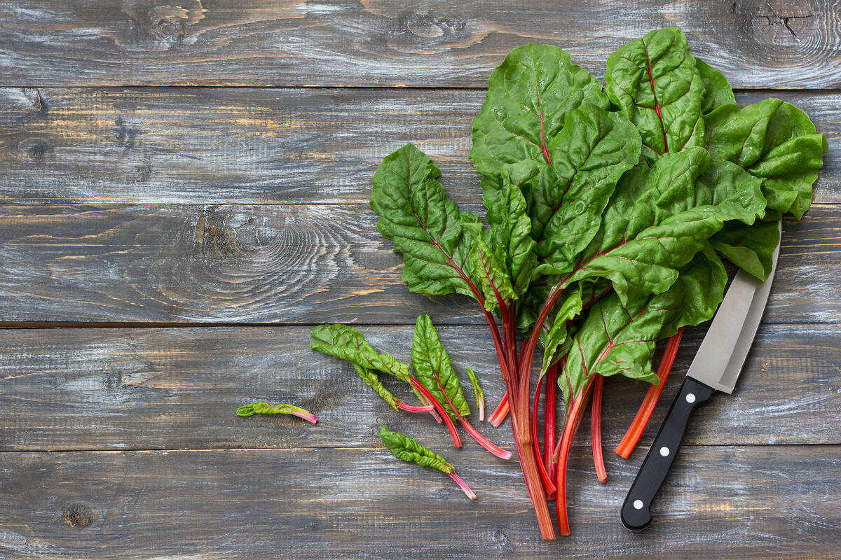 Mangold Einfrieren: So Geht´s Richtig – QIZR Mangold Einfrieren: So Geht´s Richtig – QIZR