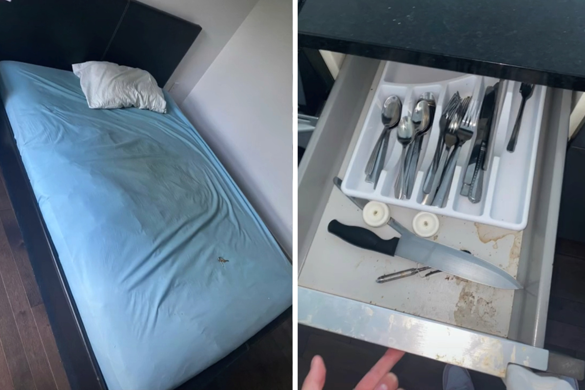 Airbnb: Superhost Verlangt 14.000 Euro Strafe Von Frau – Die Ganze Wahrheit Über Den Airbnb Skandal! - ei0pzfr