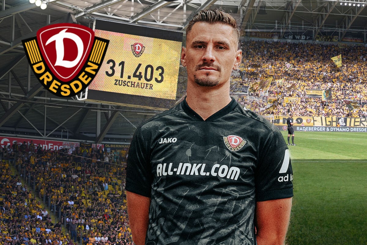 Eine Saison der Rekorde! Dynamo knackt die Millionen-Schallmauer