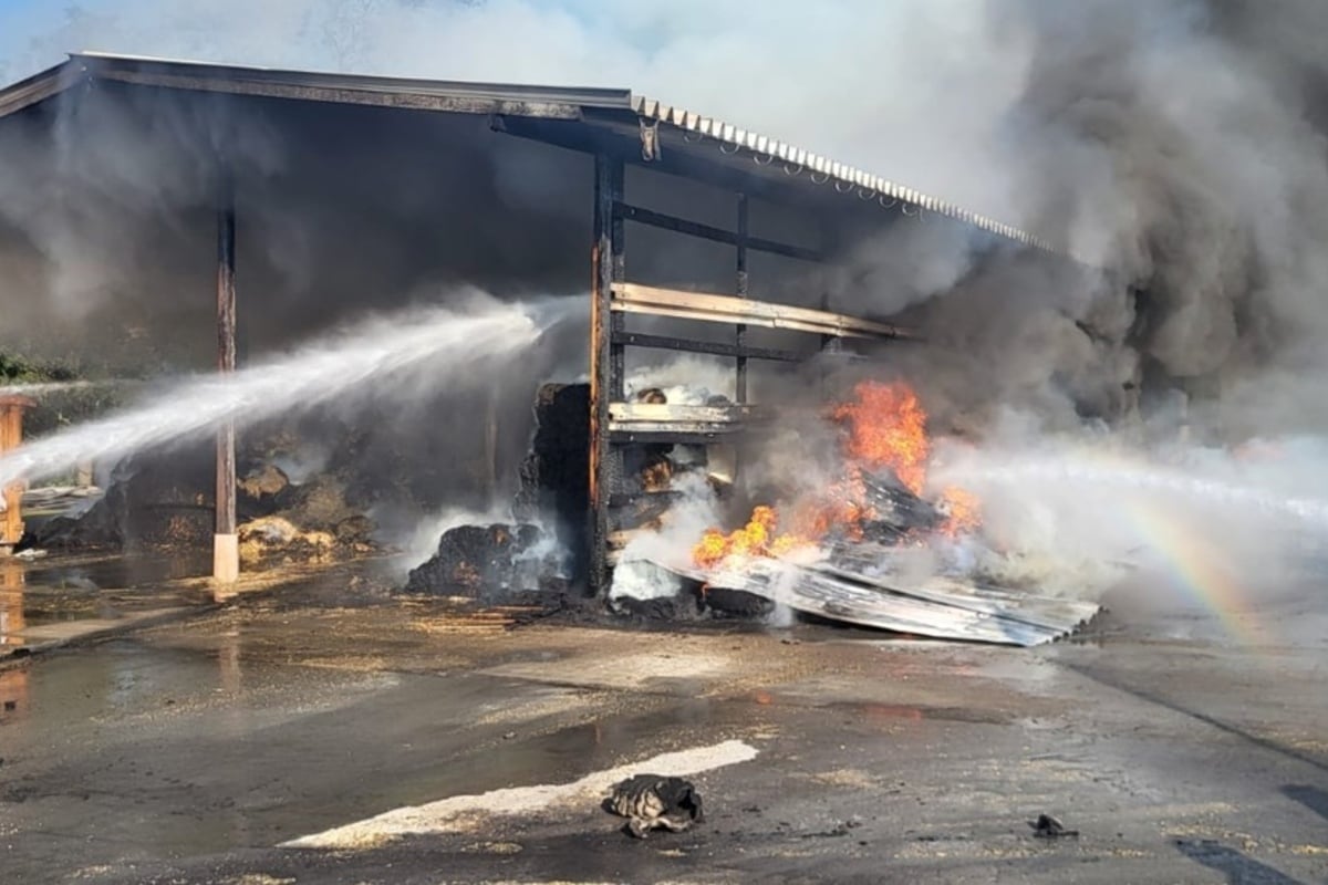Strohlager auf Viehhof brennt lichterloh: Schaden geht in die Hunderttausende