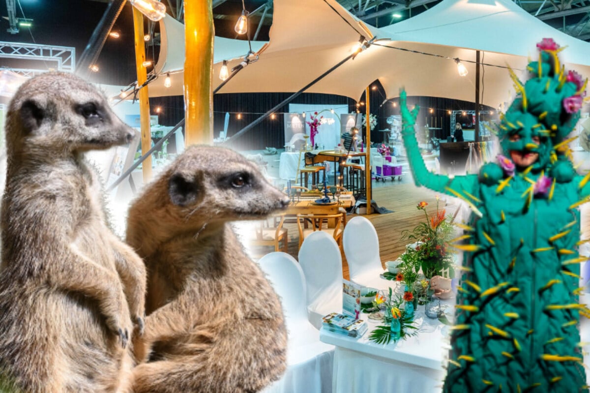 Von-der-Liebe-bis-zum-Reisen-Acht-Ideen-f-r-Euren-Sonntag