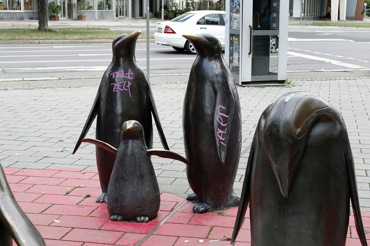 Pinguine und Haltestelle in Chemnitz beschmiert: Polizei fasst Verdächtigen