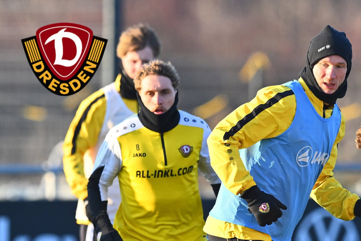 Dynamos-Neuzug-nge-zeigen-Wirkung-auf-und-neben-dem-Platz