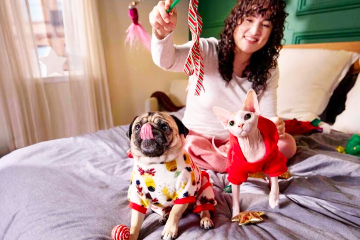 These deals on Saturday, November 8 really are paw-some - TAG24