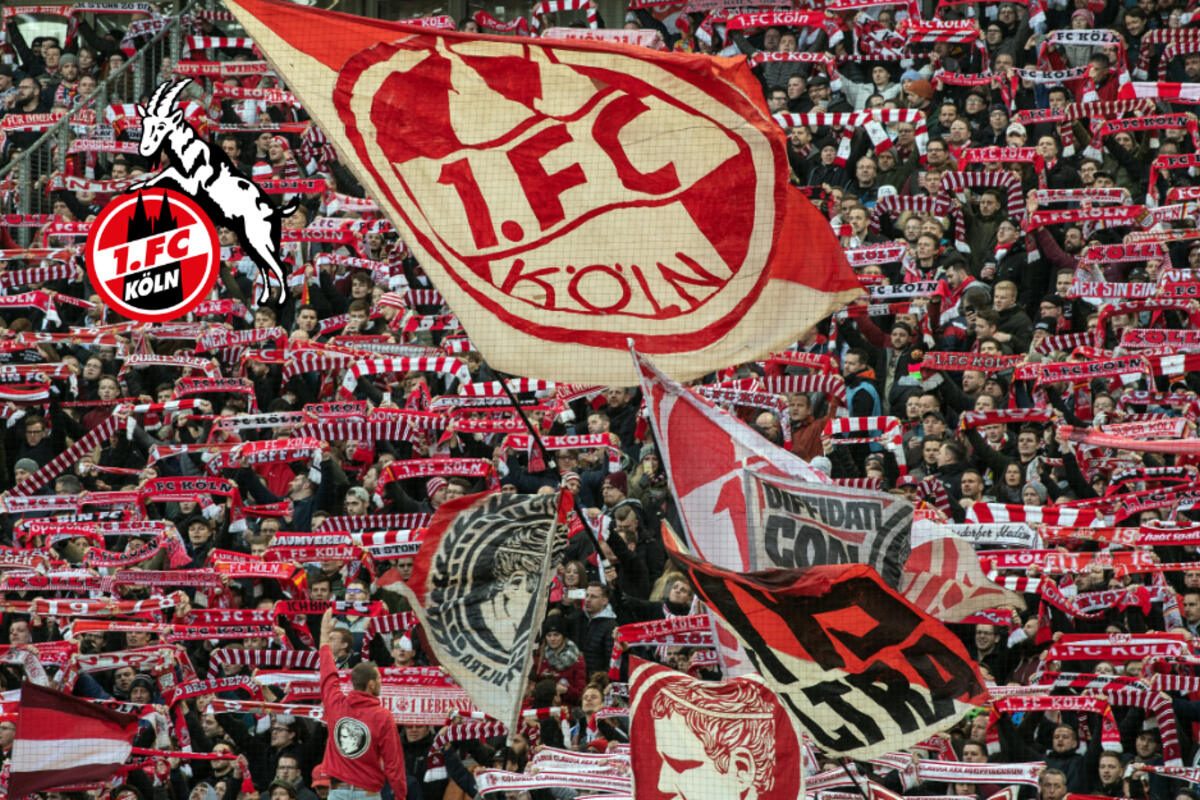 Fc Koeln Spielplan Fc Koeln Spielplan