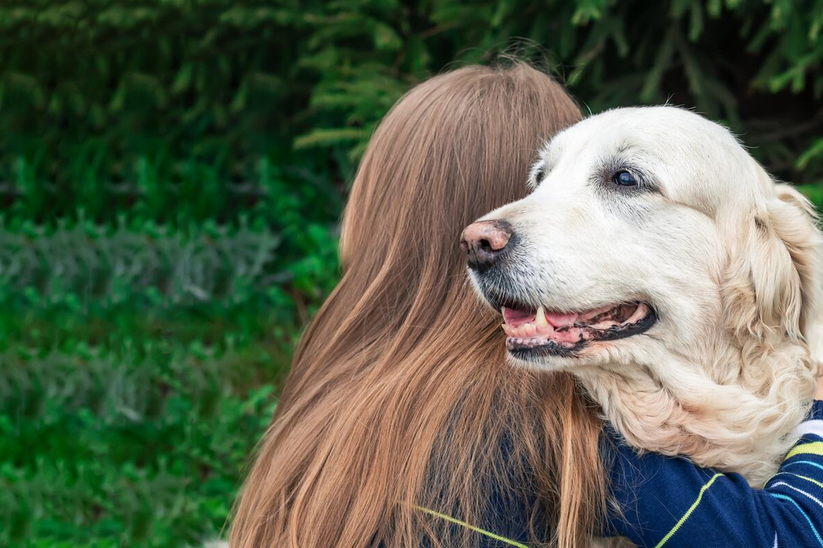 Do dogs like hugs? Should you cuddle and hug dogs?