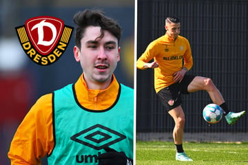 Four returnees: The ranks at Dynamo Dresden are filling up again