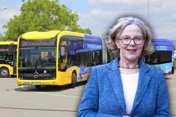 DVB rüsten auf: Neue Elektrobusse dank Finanzspritze