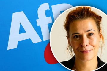 Linken-Vorstand für AfD-Verbot: "Menschenfeindlicher Charakter unübersehbar"
