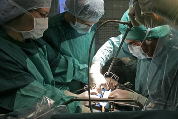 So viele Menschen warten derzeit in Thüringen auf Spenderorgane