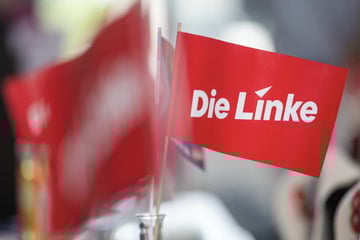 Kinderporno-Eklat: Linke fordert Austritt ihres ehemaligen Abgeordneten