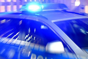 Einbruchsserie in Magdeburg: In diesen zwei Stadtteilen treiben die Diebe ihr Unwesen