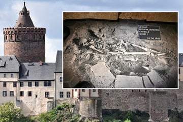 "Cold Case" auf dieser Burg in Sachsen: Besucher lösen das Knochen-Rätsel