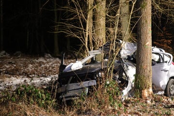 Horror-Unfall am Dreikönigstag: Junge Frau (†23) stirbt bei Baum-Crash