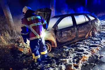 Auto steht tagelang verlassen an Straße: Plötzlich geht es in Flammen auf
