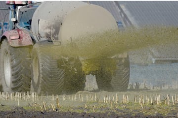 So eine Sch***e: Traktor-Anhänger kippt um, Gülle-Sturzbach ergießt sich über die Straße