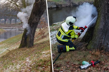 Teenager böllert Baum in Brand und verletzt sich!