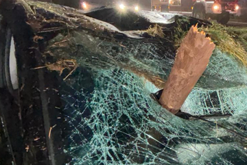 Auto von Holzpfahl durchbohrt, 20-Jähriger entkommt Katastrophe nur knapp