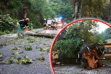Zweites Unwetter binnen weniger Tage: Sächsische Schweiz erneut schwer getroffen