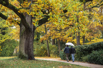 Bis zu 19 Grad: Nach dem Sturm folgt mildes Herbstwetter in NRW