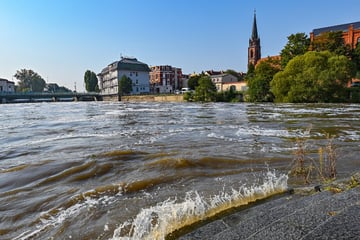 Hochwasser in Brandenburg: Droht am Wochenende eine Oder-Flut?