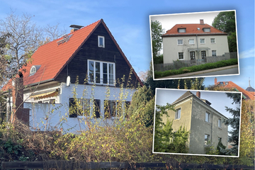 Dresden: Bieter gesucht! Stadt Dresden versteigert drei Häuschen