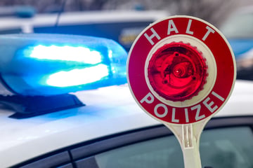 Kontrolle eskaliert: VW-Fahrer mutiert zum Lama und bespuckt Polizistin