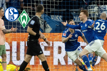 Last-Minute-Wahnsinn auf Schalke! S04 dreht umkämpftes Spiel und schöpft neue Hoffnung