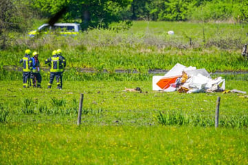Leichtflugzeuge kollidieren in der Luft: Pilot entdeckt Trümmerteile auf Wiese