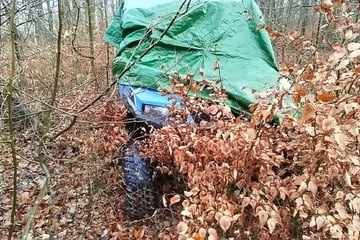 Gestohlenes Fahrzeug in Wald aufgefunden