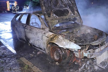 Dresden: War es Brandstiftung? Alfa Romeo in Strehlen abgefackelt