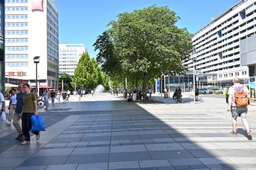 Dresden: Prager Straße: Grünes Licht für die neuen Sitzbänke