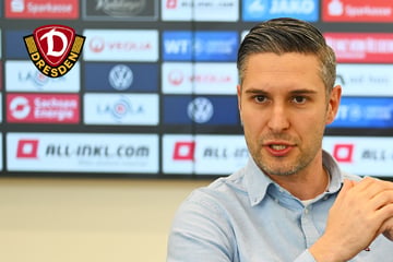 Dynamo-Dresden-Blog: Entscheidung gefallen! SGD zieht vors DFB-Bundesgericht