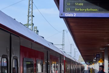 S-Bahnstrecke im Hamburger Süden gesperrt: So kommt ihr trotzdem ans Ziel